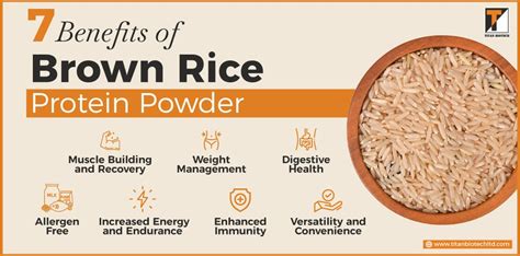 Improve Your Overall Health with Rice Protein Blend Black Magic